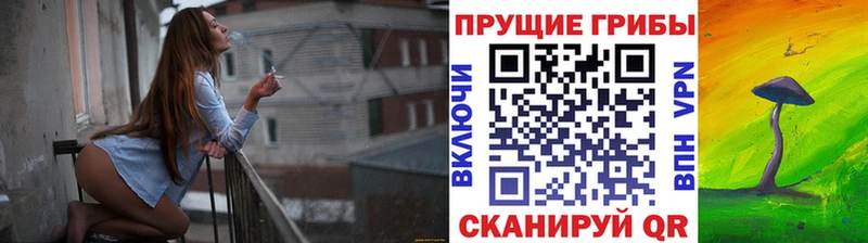 omg ONION  Верхотурье  Галлюциногенные грибы Cubensis 