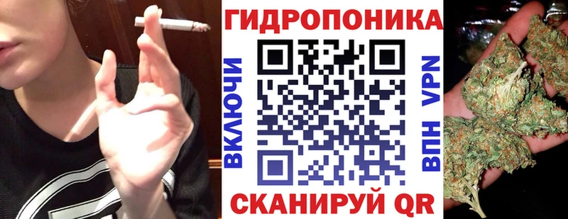 kraken сайт  где купить наркоту  Верхотурье  Бошки марихуана сатива 